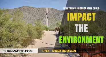 Trump's Border Wall: Environmental Consequences and Ecosystem Disruption Explored