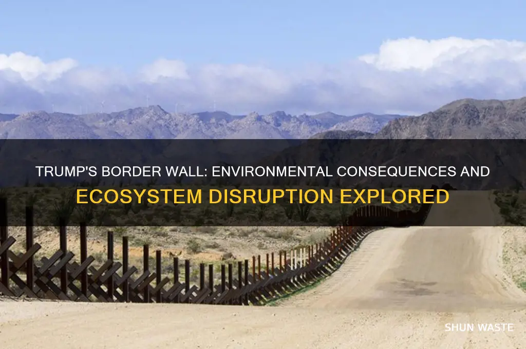 how trump s border wall could impact the environment