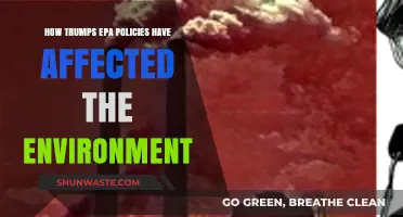 Trump's EPA Rollbacks: Environmental Impacts and Long-Term Consequences