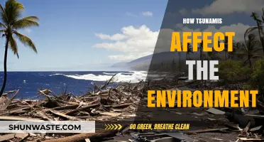 Tsunamis' Environmental Impact: Devastation, Recovery, and Ecosystem Resilience Explored