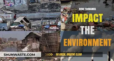 Tsunamis' Devastating Environmental Impact: Destruction, Recovery, and Resilience