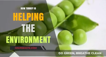 Turkey's Green Revolution: Sustainable Initiatives Transforming the Environment