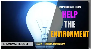 Switch Off Lights: Simple Eco-Friendly Habit, Big Environmental Impact