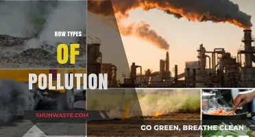 Pollution's Many Faces: Understanding Different Types