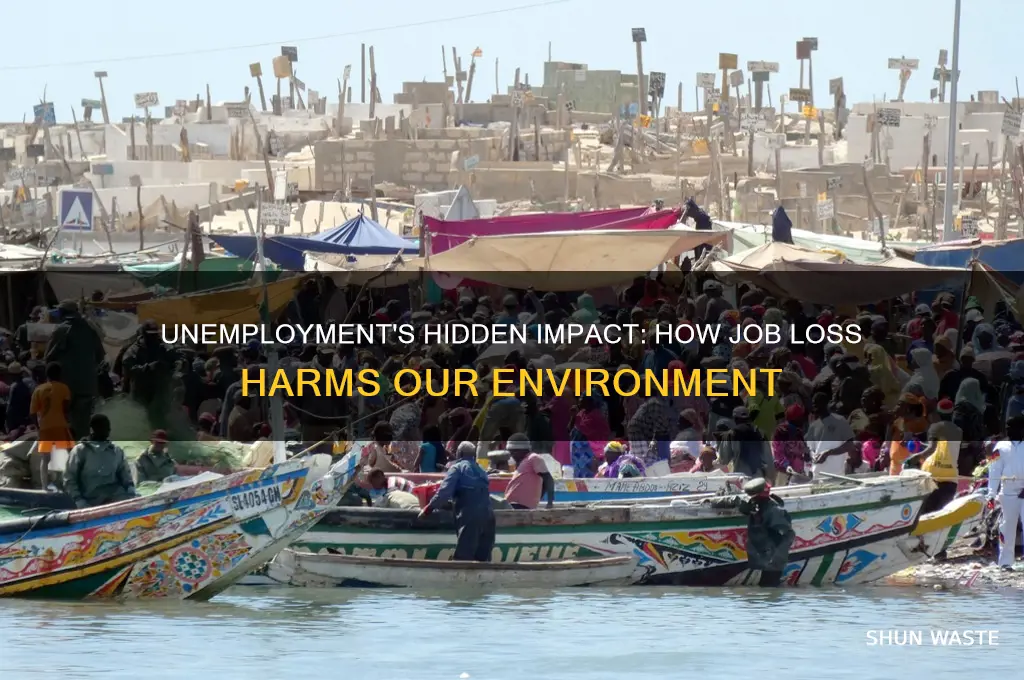 how unemployment affect the environment