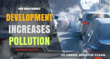 Unsustainable Development: Pollution's Dark Side