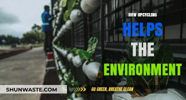Upcycling's Eco-Impact: Transforming Waste into Environmental Solutions