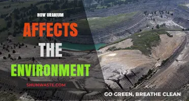 Uranium's Environmental Impact: Pollution, Radiation, and Ecosystem Disruption Explained