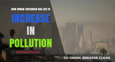 Urban Living: A Trade-off With Pollution?