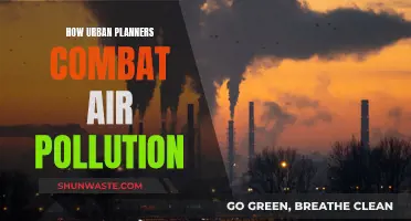 Urban Planners' Strategies for Tackling Air Pollution