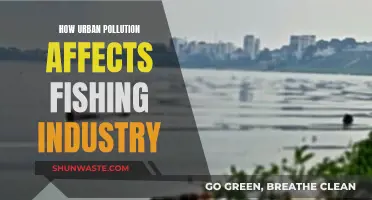 Urban Pollution's Impact on Fishing: A Troubled Industry