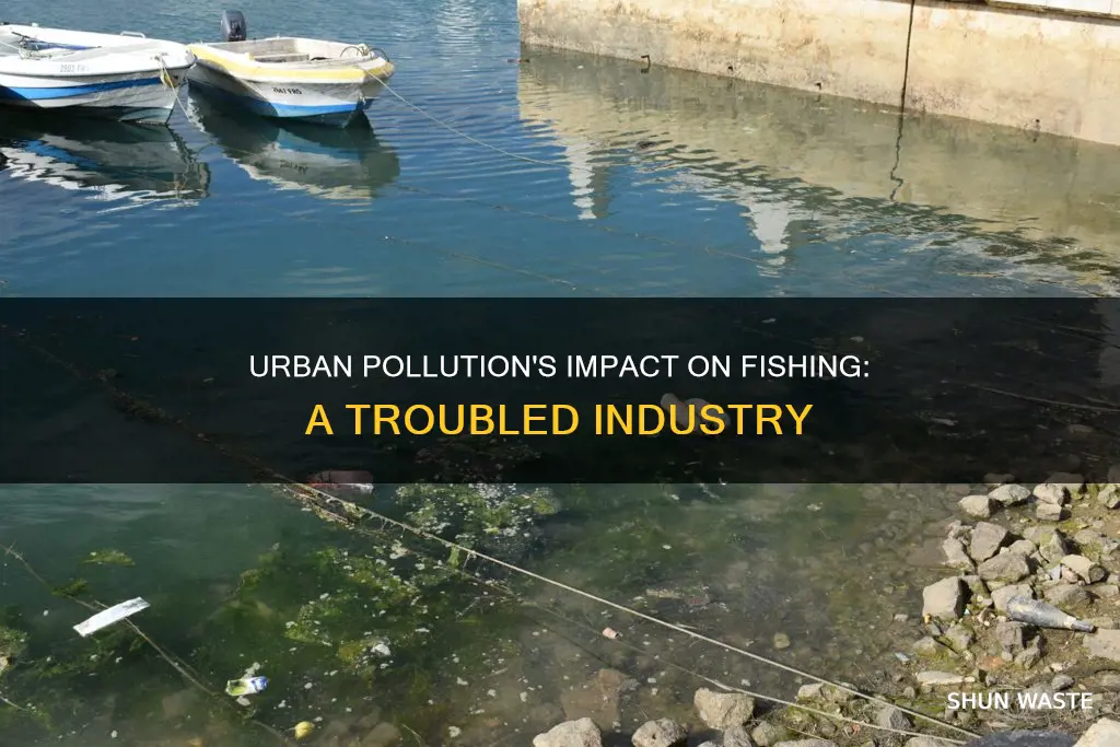 how urban pollution affects fishing industry