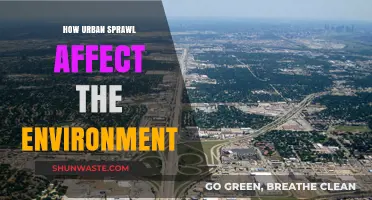 Urban Sprawl's Environmental Impact: Challenges and Sustainable Solutions