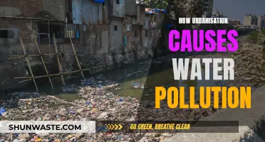 Urbanization's Impact: How Cities Contaminate Our Water Sources