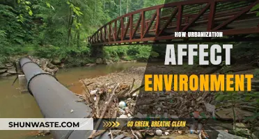 Urbanization's Environmental Impact: Challenges and Sustainable Solutions for Cities
