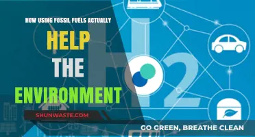 Fossil Fuels' Surprising Role in Environmental Progress and Innovation