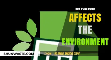 Paper's Environmental Impact: Uncovering the Hidden Costs of Daily Use