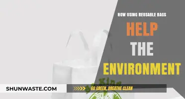 Eco-Friendly Choices: Reusable Bags Reduce Waste and Protect Our Planet