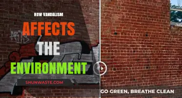 Vandalism's Hidden Cost: Environmental Damage and Long-Term Consequences