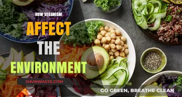Veganism's Impact: How Plant-Based Diets Benefit Our Environment