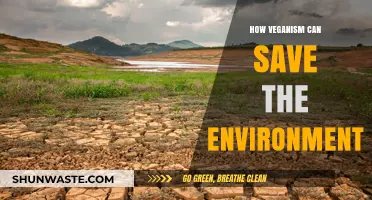 Veganism's Power: Transforming Diets, Protecting Ecosystems, Saving Our Planet