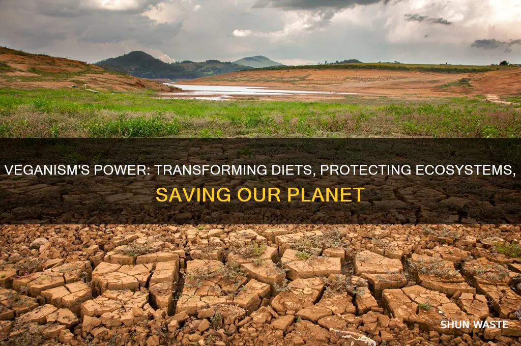 how veganism can save the environment