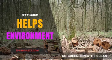 Veganism's Green Impact: Saving the Planet One Plant-Based Meal at a Time