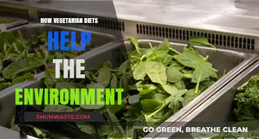Vegetarian Diets: A Sustainable Choice for a Greener Planet