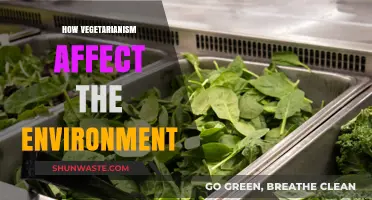 Vegetarianism's Impact: How Plant-Based Diets Benefit Our Environment