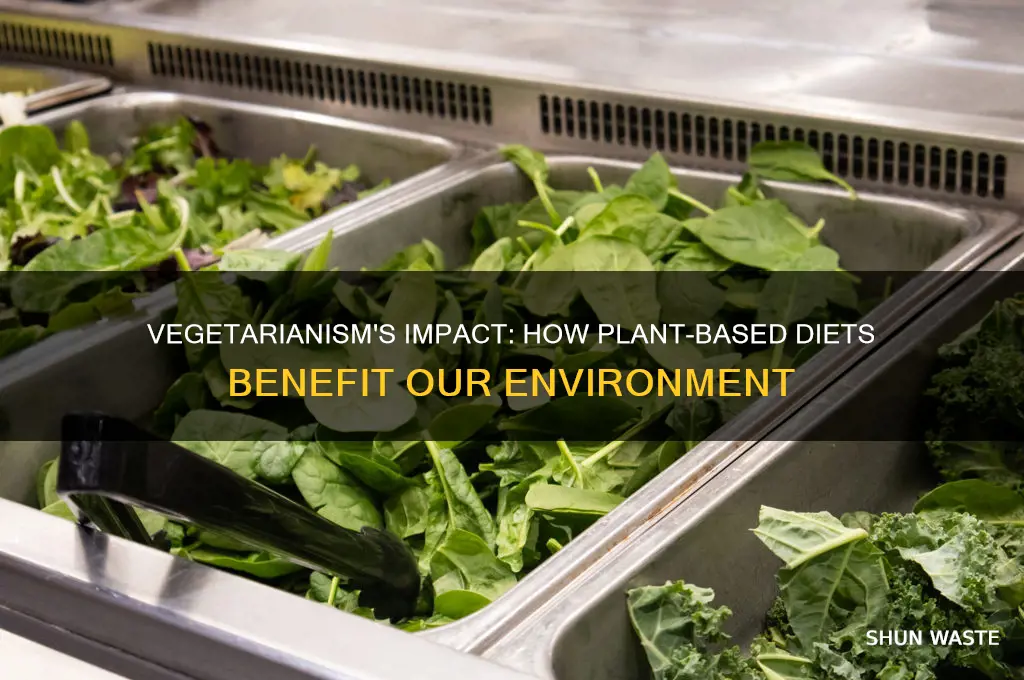 how vegetarianism affect the environment