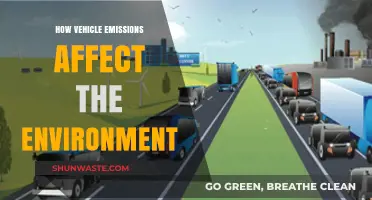 Vehicle Emissions: Environmental Impact and Sustainable Transportation Solutions