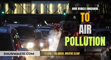 Vehicle Emissions: Air Pollution's Harmful Impact