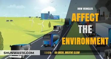 Vehicle Emissions: Environmental Impact and Sustainable Transportation Solutions