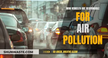 Vehicles' Impact: Air Pollution and Its Hazards