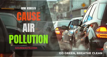 Vehicles' Impact: Air Pollution and Its Causes