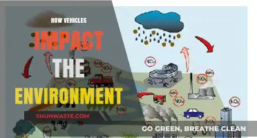 Vehicle Emissions: Environmental Impact and Sustainable Transportation Solutions