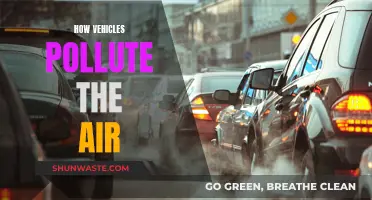 Vehicles' Air Pollution: Harmful Emissions and Their Impact