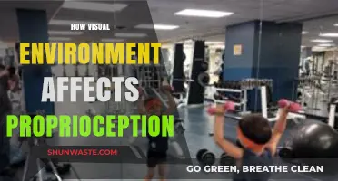 Visual Surroundings: Unveiling Their Impact on Body Awareness and Proprioception