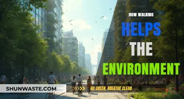 Walking for a Greener Planet: Eco-Friendly Steps to Reduce Carbon Footprint