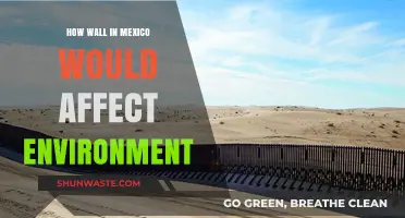 Mexico's Border Wall: Environmental Impacts and Ecosystem Disruption Explored