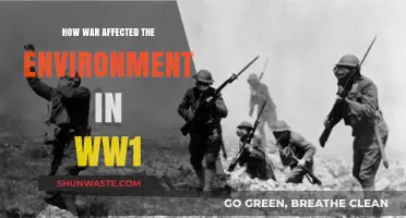 World War I's Devastating Environmental Legacy: Scars on Land and Sea