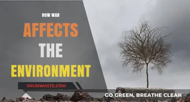 War's Devastating Impact: How Conflict Destroys Our Environment and Ecosystems