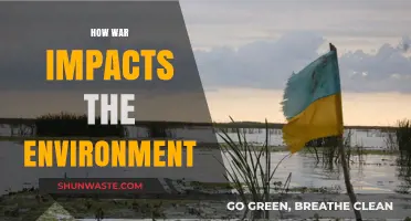 War's Devastating Environmental Toll: Destruction, Pollution, and Long-Term Consequences