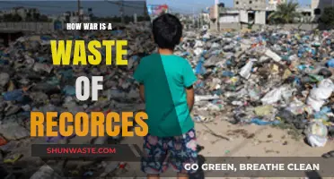 War's Devastating Cost: Wasting Resources, Lives, and Global Potential