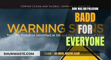 Air Pollution: A Universal Health Crisis