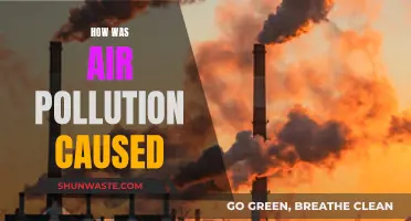 Unveiling the Sources: A Deep Dive into Air Pollution Causes