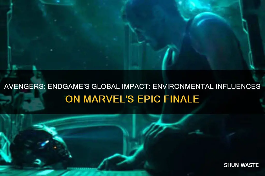 how was avengers endgame impacted by the global environment