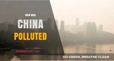 China's Pollution Crisis: A Historical Overview