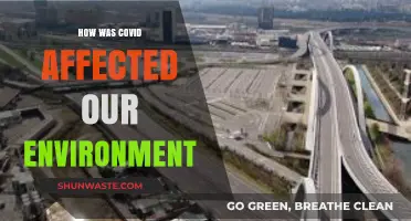 COVID's Environmental Impact: Positive Changes and Lasting Effects