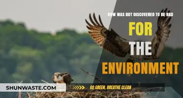DDT's Dark Legacy: Uncovering Its Devastating Environmental Impact